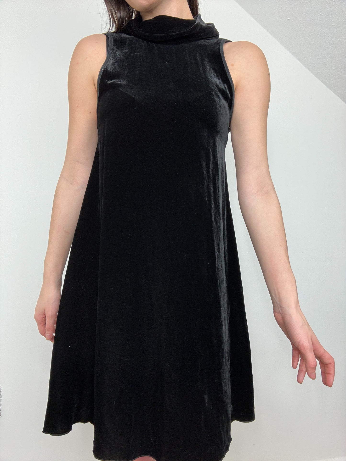 Wilfred Silk Dress (XXS)