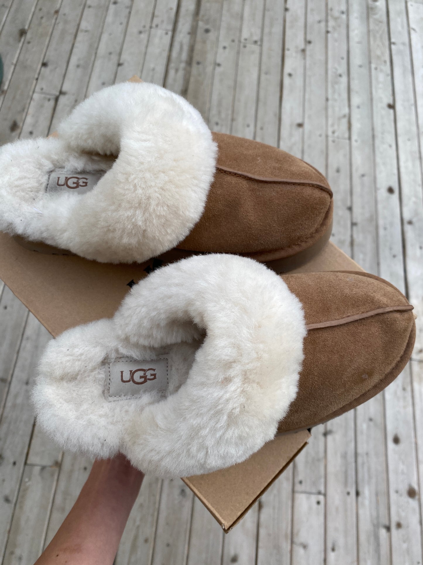 Ugg Disquette Slippers (7)